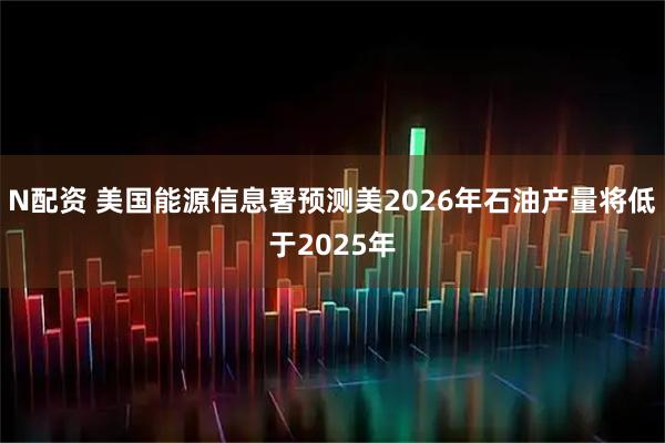 N配资 美国能源信息署预测美2026年石油产量将低于2025年