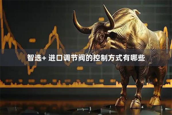 智选+ 进口调节阀的控制方式有哪些