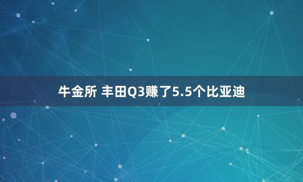 牛金所 丰田Q3赚了5.5个比亚迪