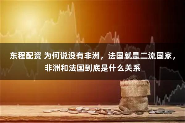东程配资 为何说没有非洲，法国就是二流国家，非洲和法国到底是什么关系